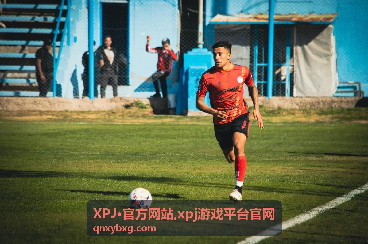 XPJ·官方网站精选入口封面