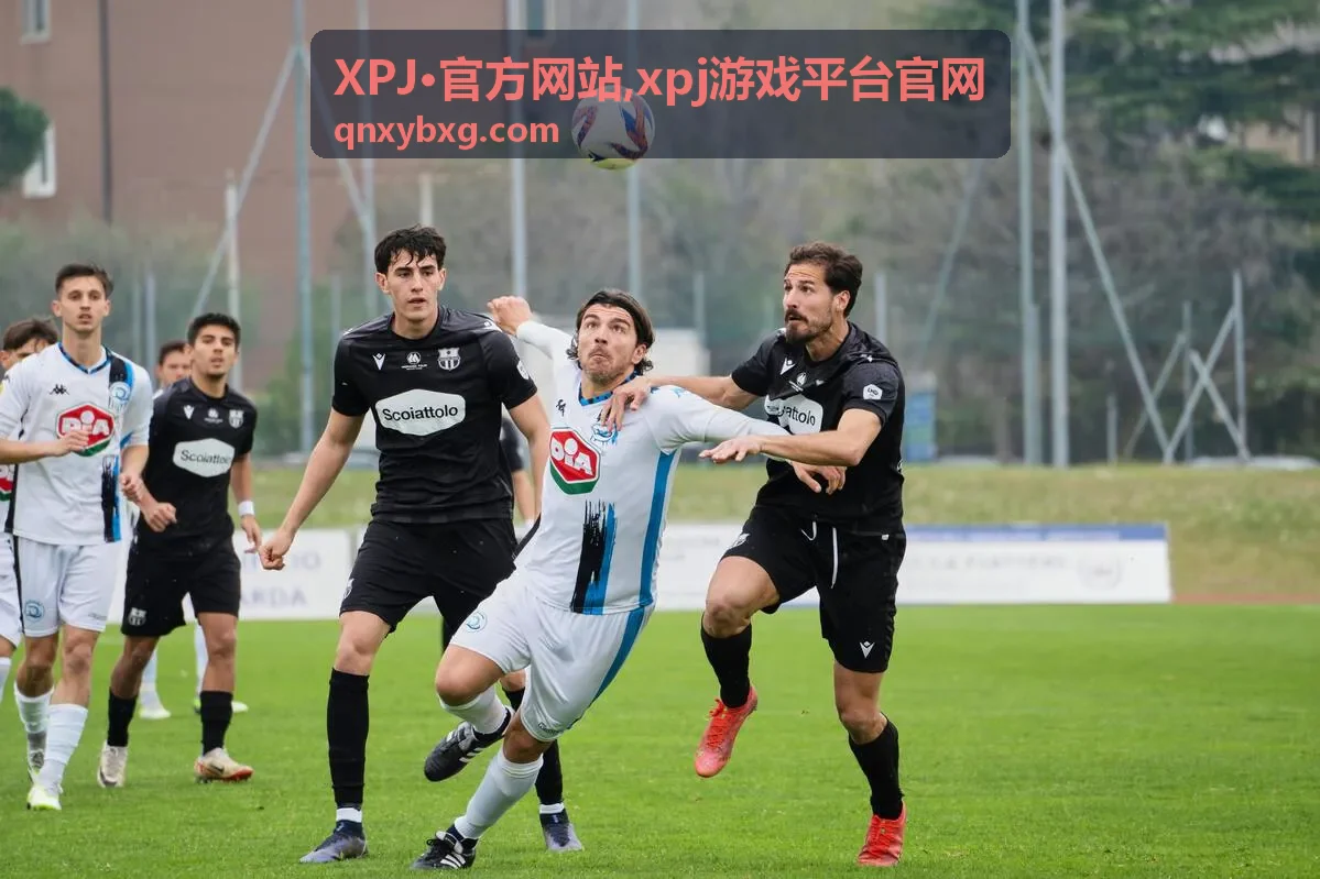 XPJ·官方网站平台公告与入口封面