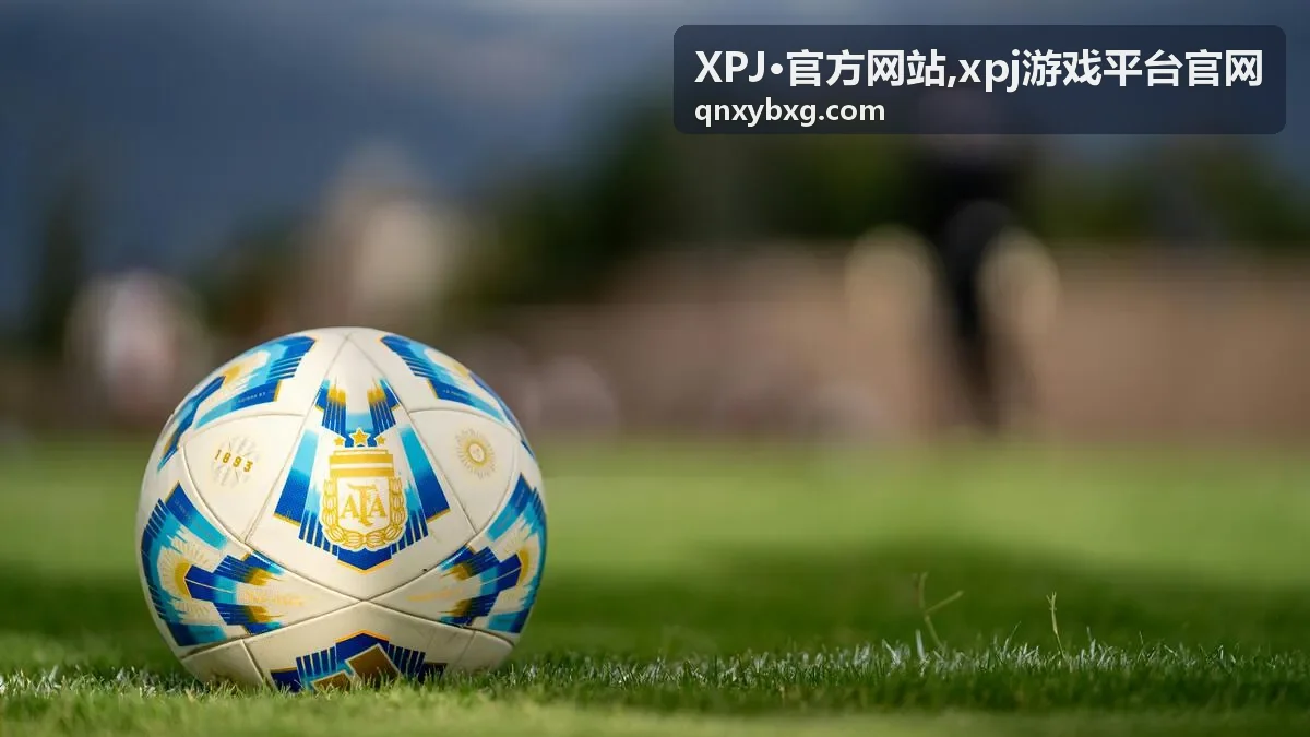 XPJ·官方网站热门分类封面